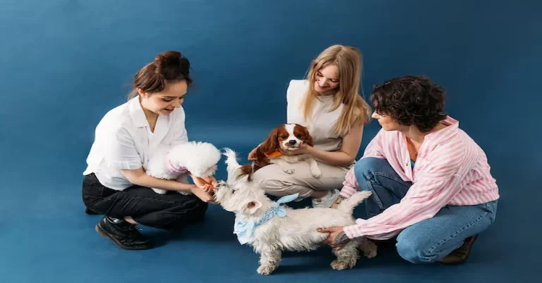 Dog Daycare