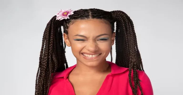 Braid Hairstyles