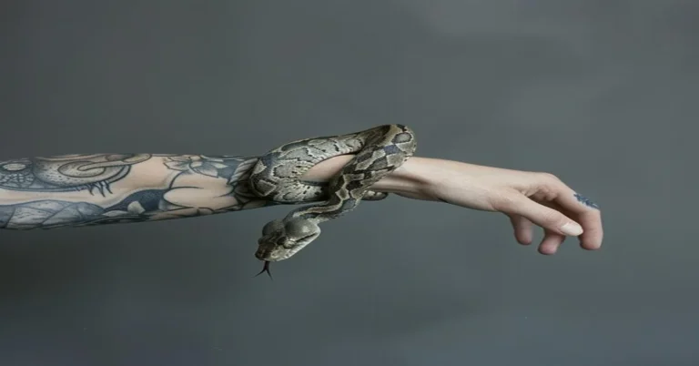 Snake Tattoo